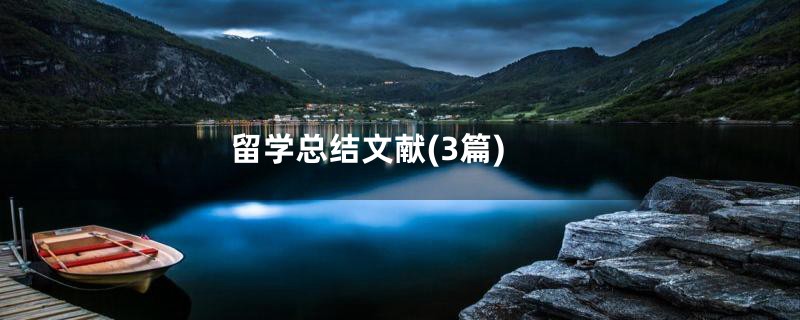 留学总结文献(3篇)