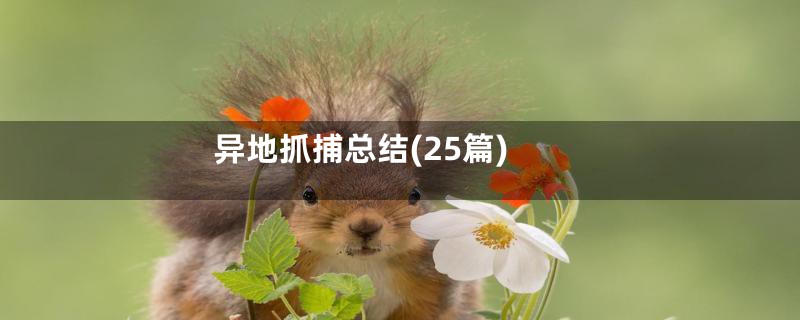 异地抓捕总结(25篇)