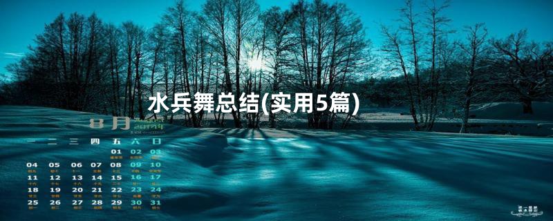水兵舞总结(实用5篇)
