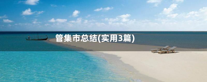 管集市总结(实用3篇)