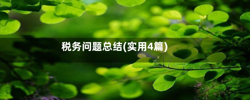 税务问题总结(实用4篇)