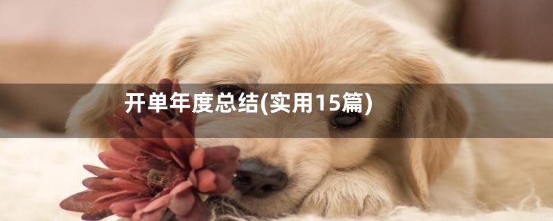 开单年度总结(实用15篇)