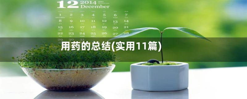 用药的总结(实用11篇)