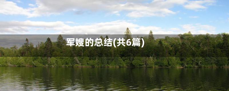 军嫂的总结(共6篇)