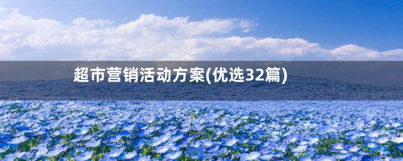 超市营销活动方案(优选32篇)