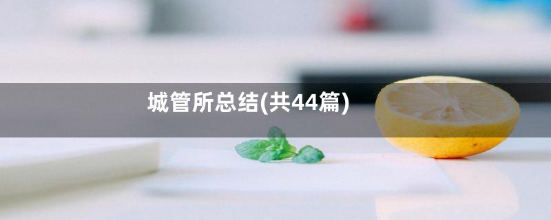 城管所总结(共44篇)