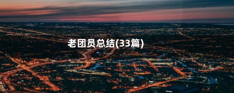 老团员总结(33篇)