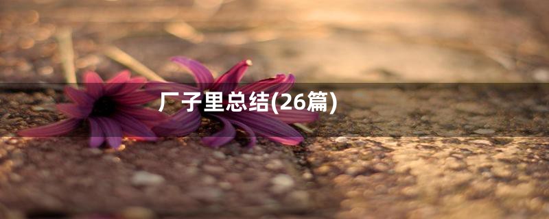 厂子里总结(26篇)