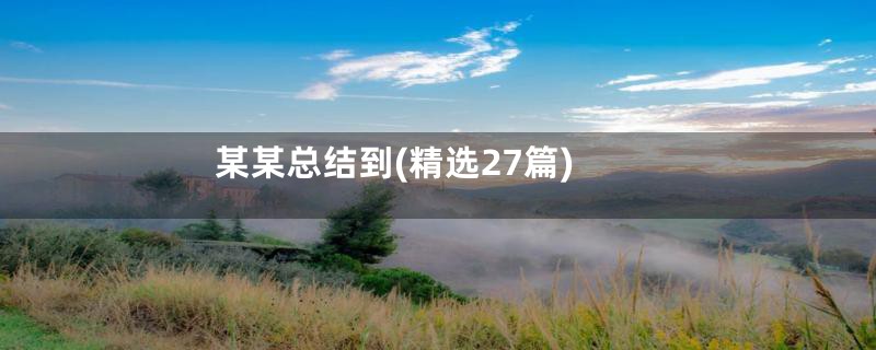 某某总结到(精选27篇)