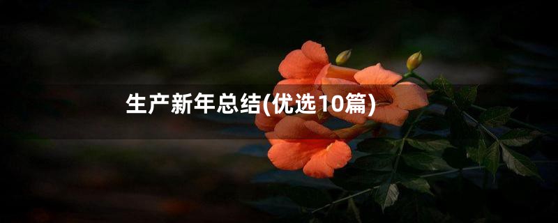生产新年总结(优选10篇)