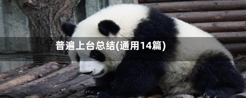 普遍上台总结(通用14篇)