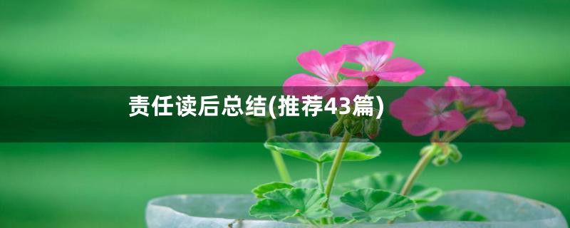 责任读后总结(推荐43篇)