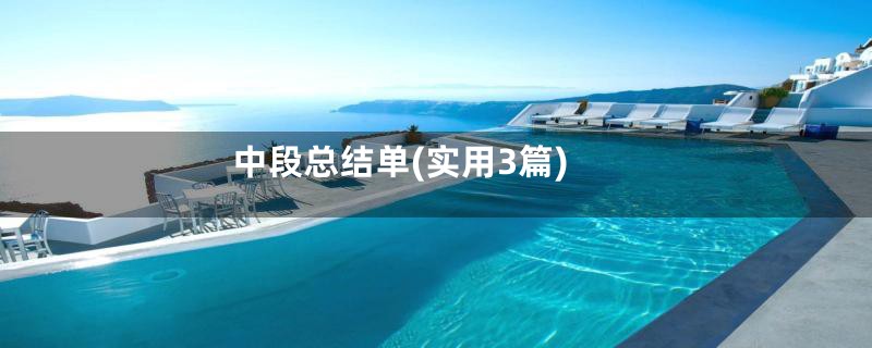 中段总结单(实用3篇)