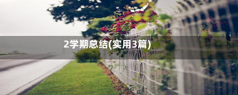 2学期总结(实用3篇)