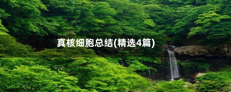 真核细胞总结(精选4篇)