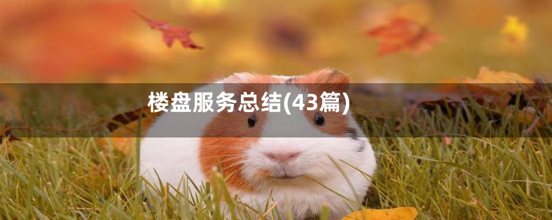 楼盘服务总结(43篇)