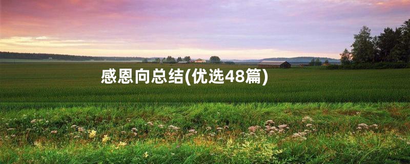 感恩向总结(优选48篇)