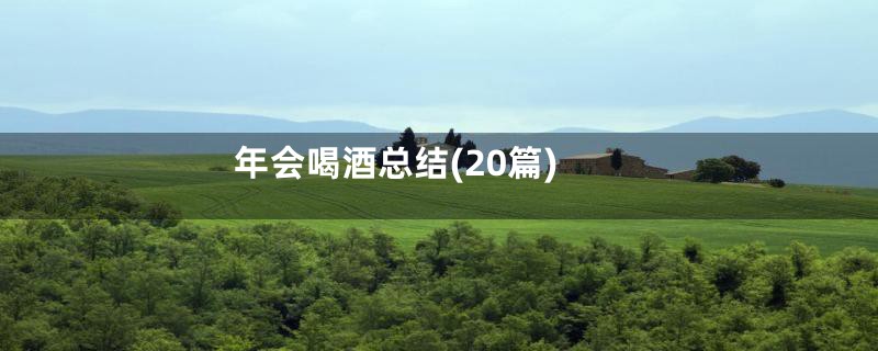 年会喝酒总结(20篇)