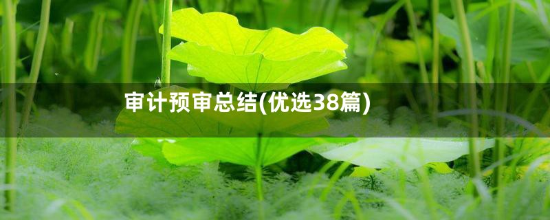 审计预审总结(优选38篇)