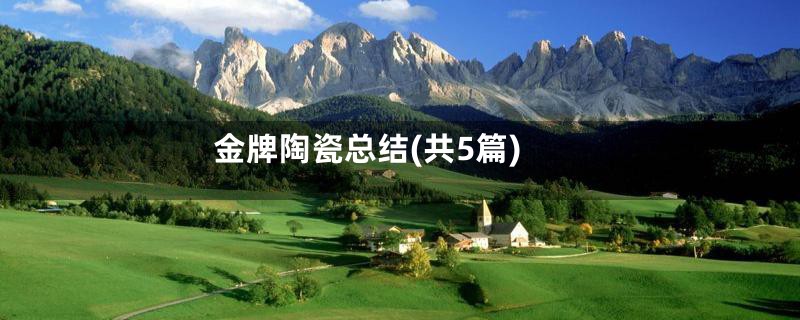 金牌陶瓷总结(共5篇)