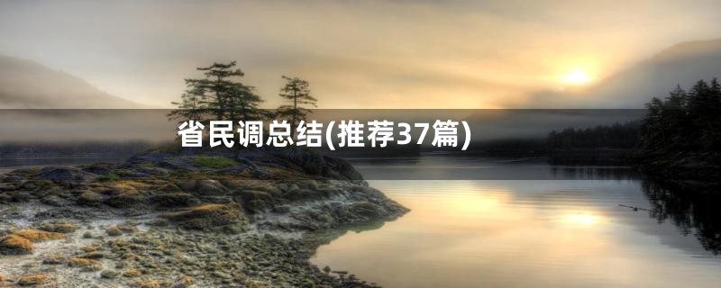 省民调总结(推荐37篇)