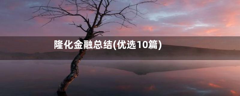 隆化金融总结(优选10篇)