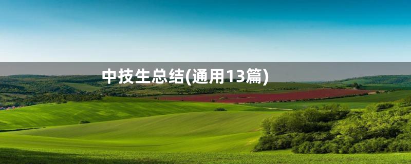 中技生总结(通用13篇)