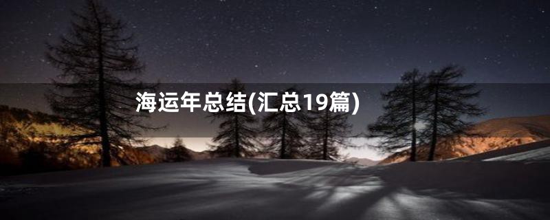 海运年总结(汇总19篇)
