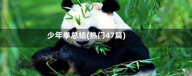 少年拳总结(热门47篇)