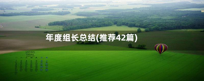 年度组长总结(推荐42篇)