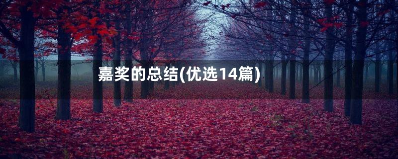 嘉奖的总结(优选14篇)