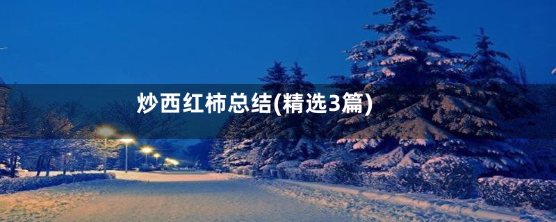 炒西红柿总结(精选3篇)