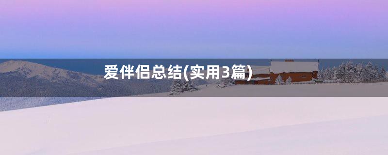 爱伴侣总结(实用3篇)