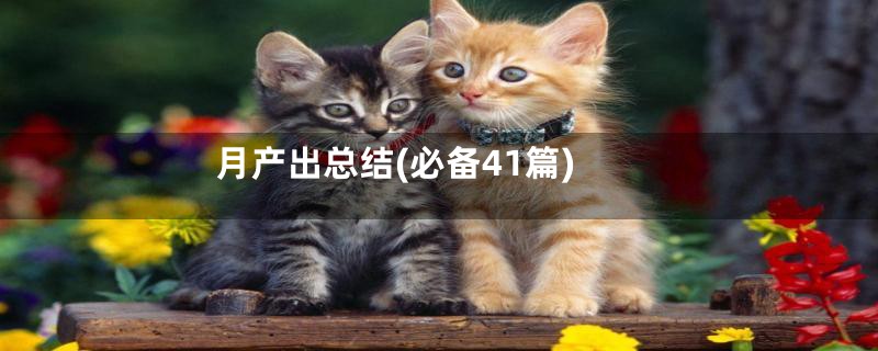 月产出总结(必备41篇)