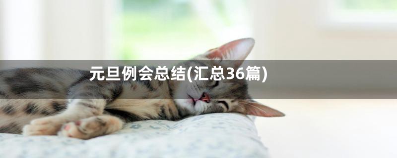 元旦例会总结(汇总36篇)