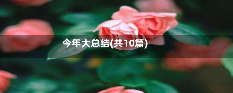 今年大总结(共10篇)