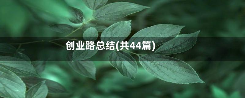 创业路总结(共44篇)