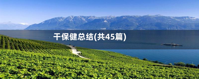干保健总结(共45篇)