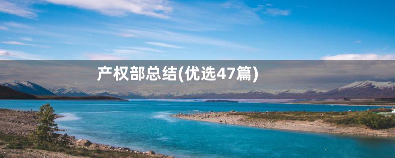 产权部总结(优选47篇)