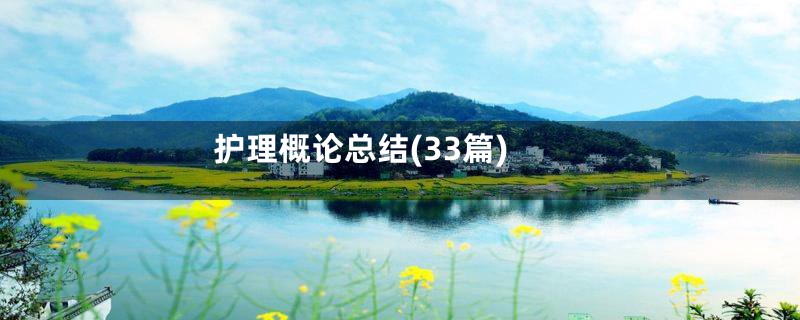 护理概论总结(33篇)