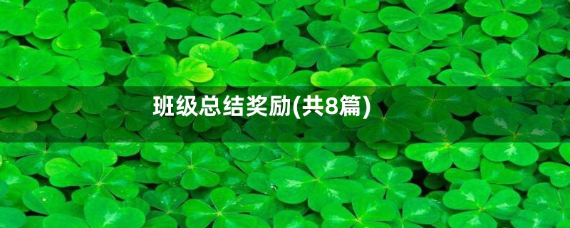 班级总结奖励(共8篇)