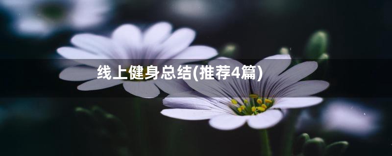 线上健身总结(推荐4篇)