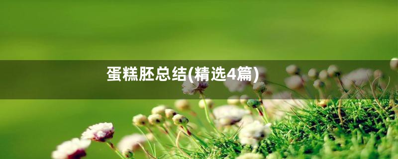 蛋糕胚总结(精选4篇)