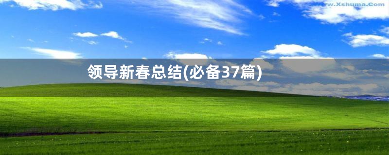 领导新春总结(必备37篇)
