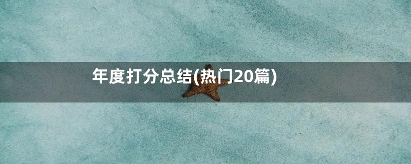 年度打分总结(热门20篇)
