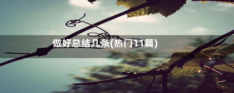做好总结几条(热门11篇)