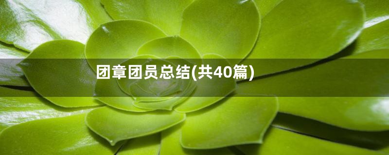 团章团员总结(共40篇)