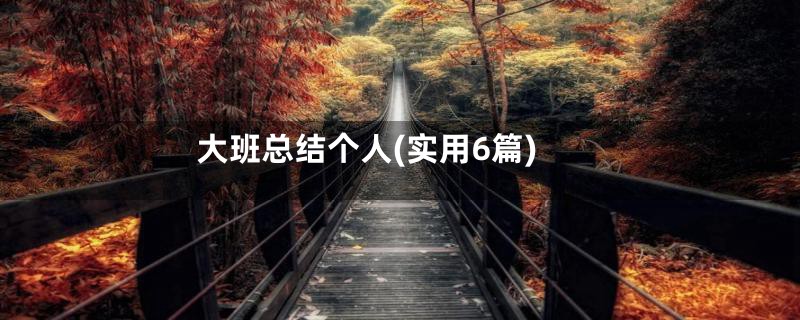 大班总结个人(实用6篇)
