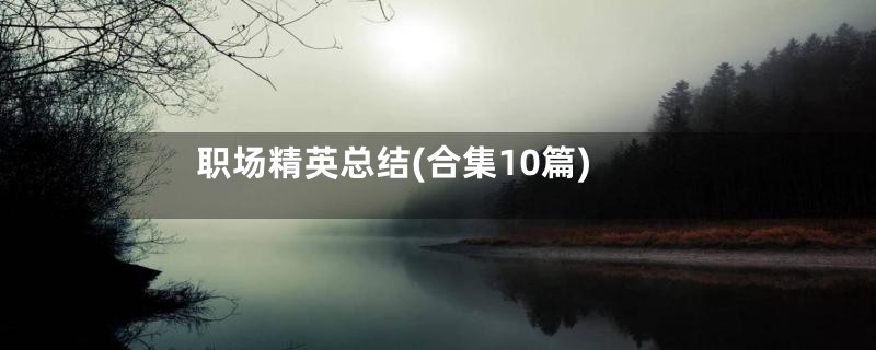 职场精英总结(合集10篇)