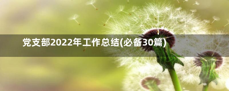 党支部2022年工作总结(必备30篇)